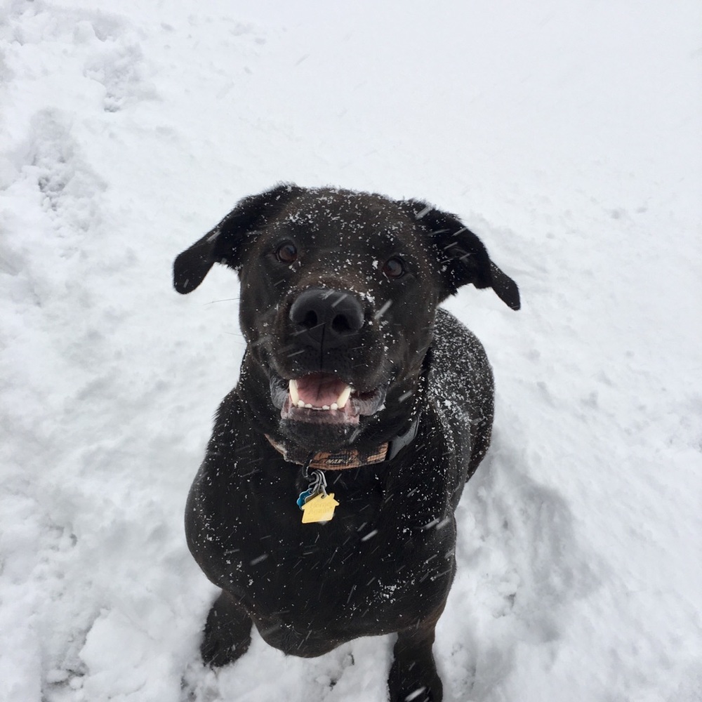 Meet your Posher, Megan